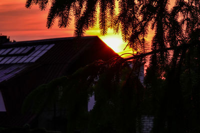 Low angle view of silhouette trees by building against sky at sunset