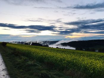 Scenic view of field against sky