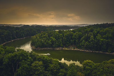 Scenic view of river in forest against sky