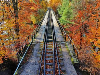 Railroad tracks amidst trees during autumn