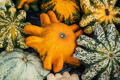 High angle view of pumpkins in market