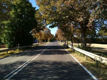 Empty road along trees