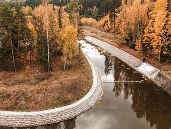 Reflection of trees in lake during autumn