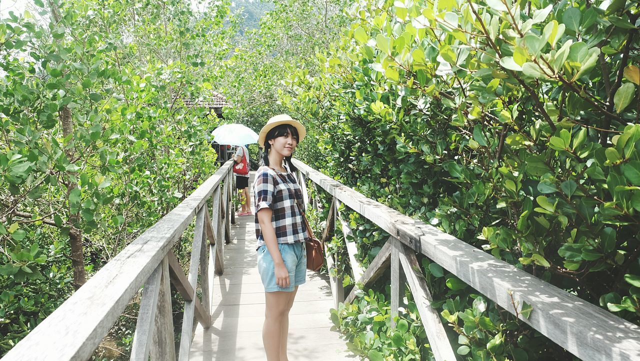 green color, women, railing, footbridge, outdoors, young adult, adults only, adult, bridge - man made structure, young women, people, one person, vacations, nature, bamboo grove, only women, day