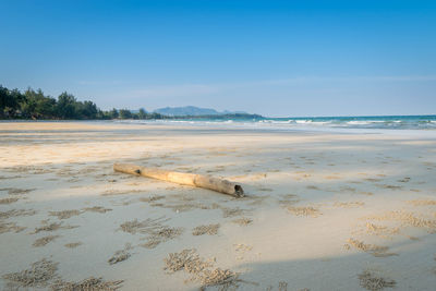 Scenic view of beach against blue sky