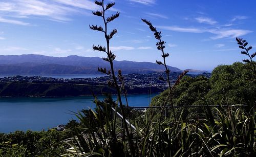 Scenic view of lake and mountains against sky