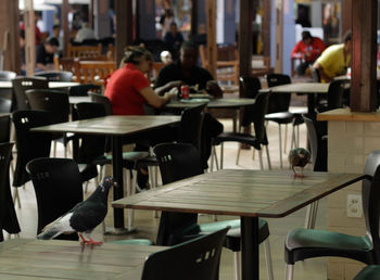 People sitting in restaurant