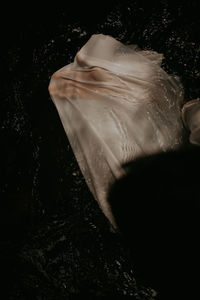 Close-up of hand holding leaf against black background