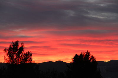 Silhouette trees against sky during sunset