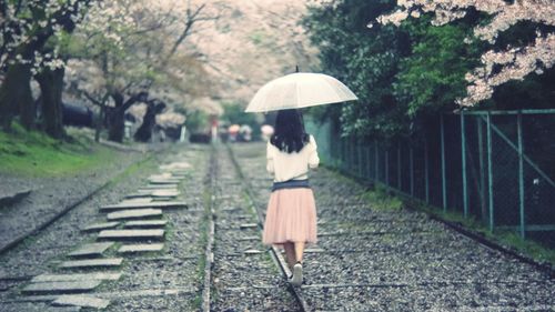 Rear view of woman with umbrella walking on tracks