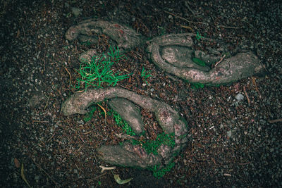 High angle view of old rusty metal on land