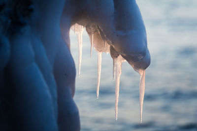 A beautiful hanging icicles of salt water on the coast of baltic sea. ice in the beach at winter. 