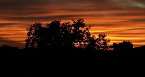 Silhouette trees against sky during sunset