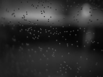 Close-up of raindrops against sky