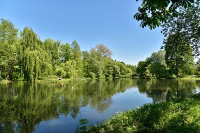 Scenic view of lake by trees against clear sky