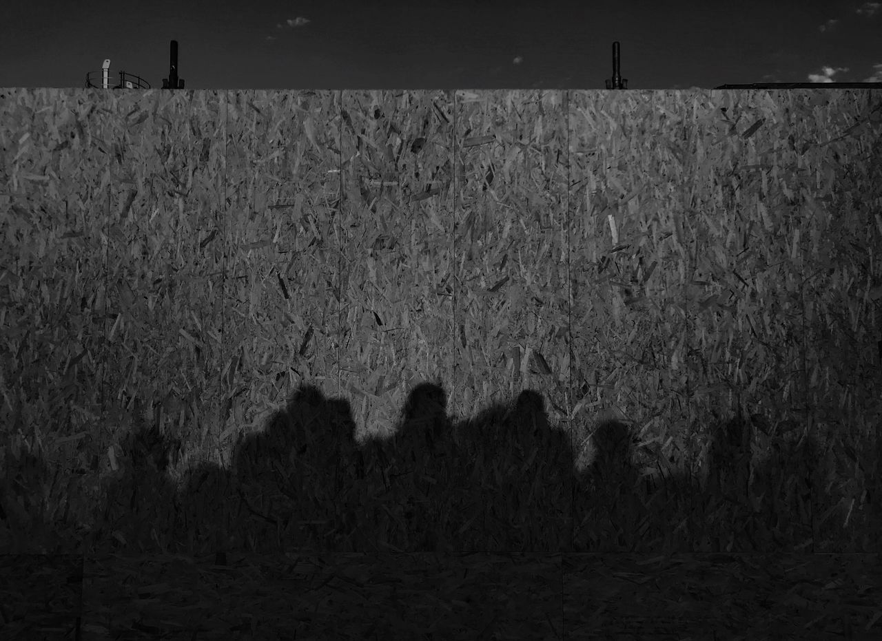 land, group of people, real people, nature, field, plant, day, outdoors, standing, grass, silhouette, unrecognizable person, people, lifestyles, tranquility, landscape, men, incidental people, focus on shadow
