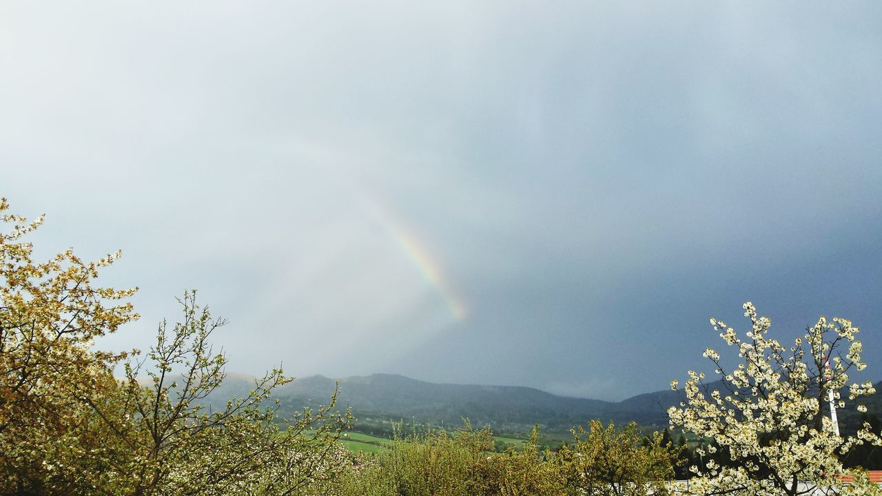 scenics, beauty in nature, tranquility, tranquil scene, sky, nature, landscape, mountain, tree, rainbow, weather, idyllic, cloud - sky, non-urban scene, fog, outdoors, mountain range, remote, majestic, day