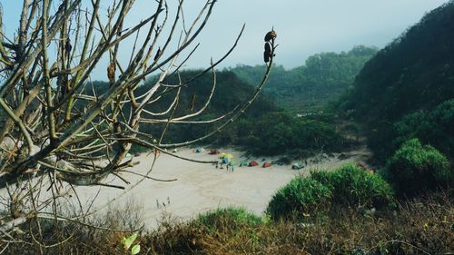 High angle view of trees on land