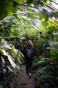 Rear view of woman walking on plants