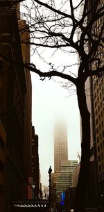 Low angle view of buildings in city