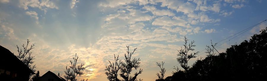 Low angle view of silhouette trees against sky during sunset