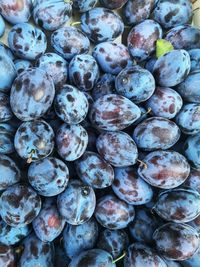 Full frame shot of plums in market