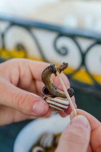 Close-up of human hand eating cooked snail with toothpick, marrakech, morocco, north africa