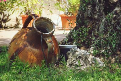 Rusty by plants on field