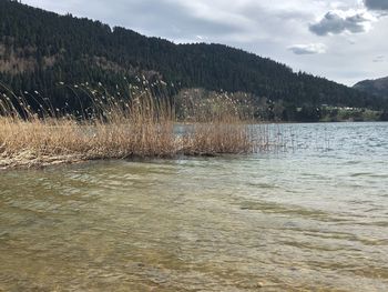 Scenic view of lake against sky