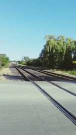 Surface level of railway tracks along trees