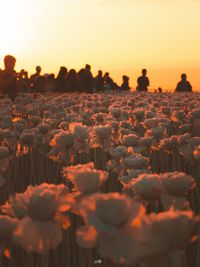 Scenic view of orange sky during sunset