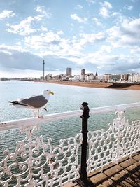 Seagull perching on railing by sea against sky