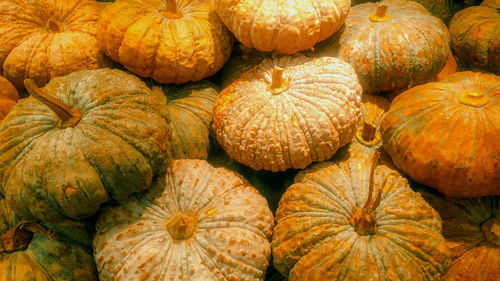 Full frame shot of pumpkins at market