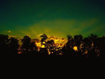 Low angle view of silhouette trees against sky during sunset