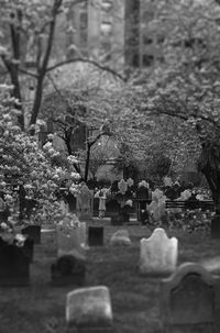 Close-up of cemetery
