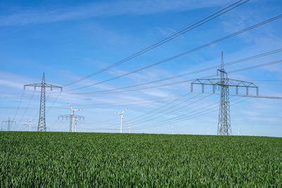 Overhead power lines in a cornfield seen in germany