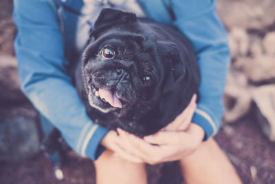 High angle portrait of black dog sitting on owner