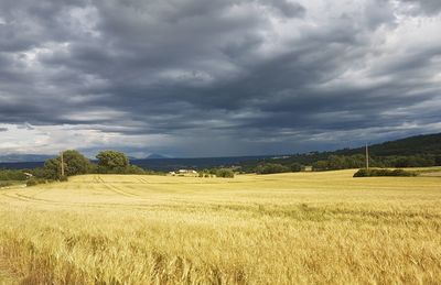 Scenic view of agricultural field against sky