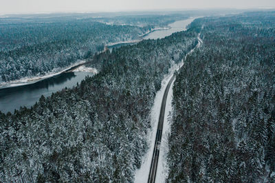 High angle view of trees on land