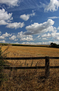 Scenic view of field against sky