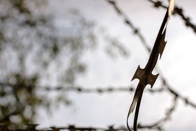 Close-up of barbed wire on fence during winter