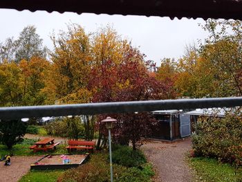 Plants and trees in park during autumn