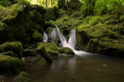 Scenic view of waterfall in forest