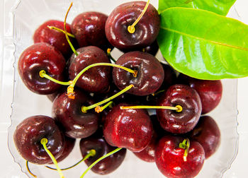 Close-up of grapes in plate