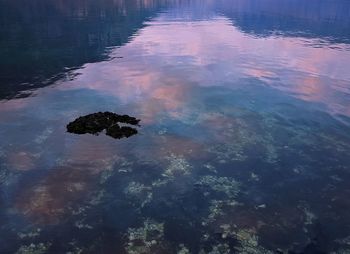 High angle view of reflection in lake