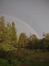 Scenic view of rainbow over trees against sky