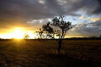 Scenic view of sunset over landscape