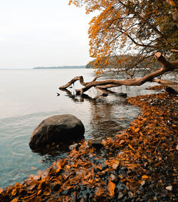 Scenic view of lake against sky during autumn