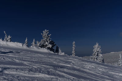 Sunny winter morning in the mountains of sheregesh on the ski track 