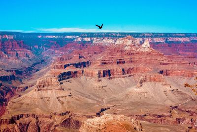 View of birds on rock formations